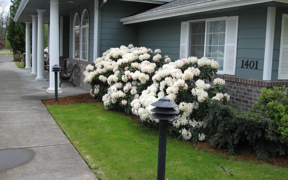 Aidan Health Services Operations